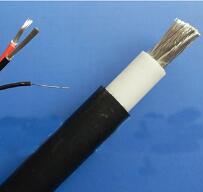 WDZ-DCK，WDZ-DCKP-125，DCEVM機車電纜